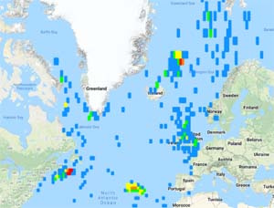 bottlenose whale sightings OBIS-Seamap
